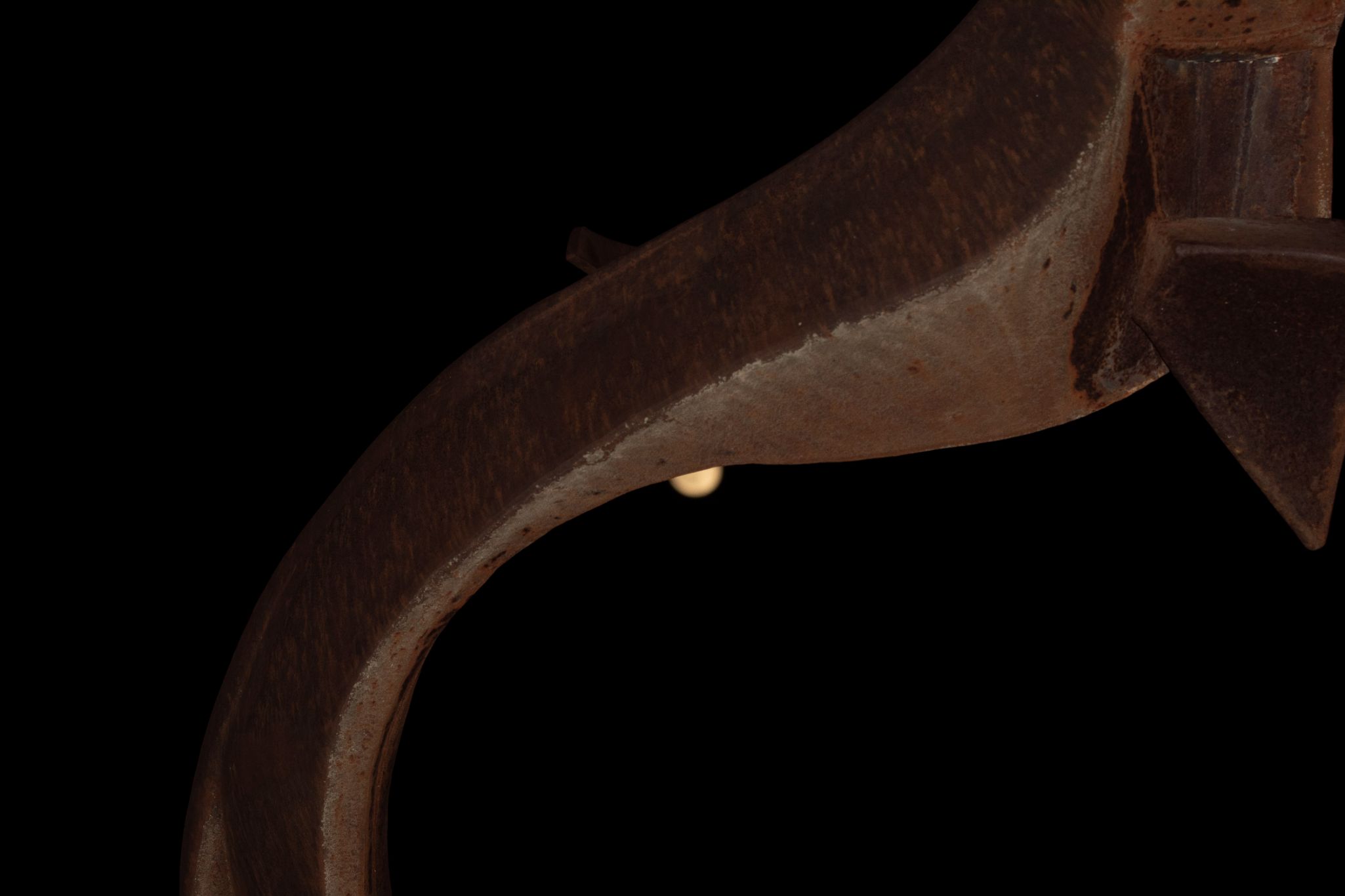 IMG 2984